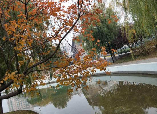 WeChat_Screenshot_2020.07.20_16.52.52