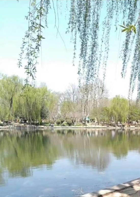 WeChat_Screenshot_2020.07.22_10.37.57