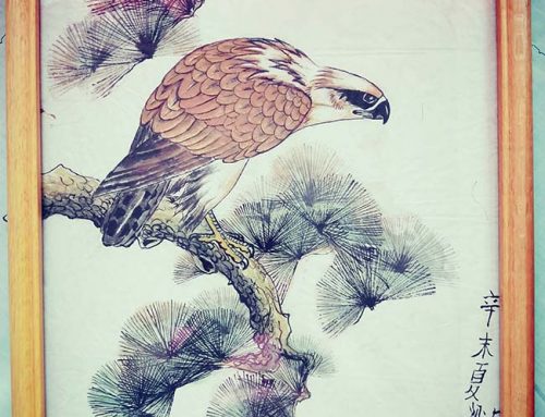 翻看儿子9岁作品