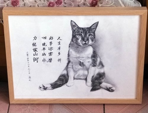 儿子闲时作