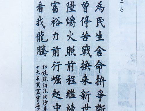 浪淘沙 · 喜迎二十大