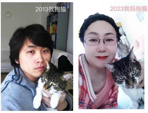 家有狸猫