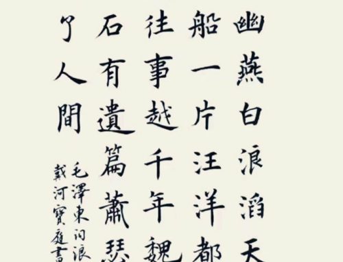 2025年 八月习作